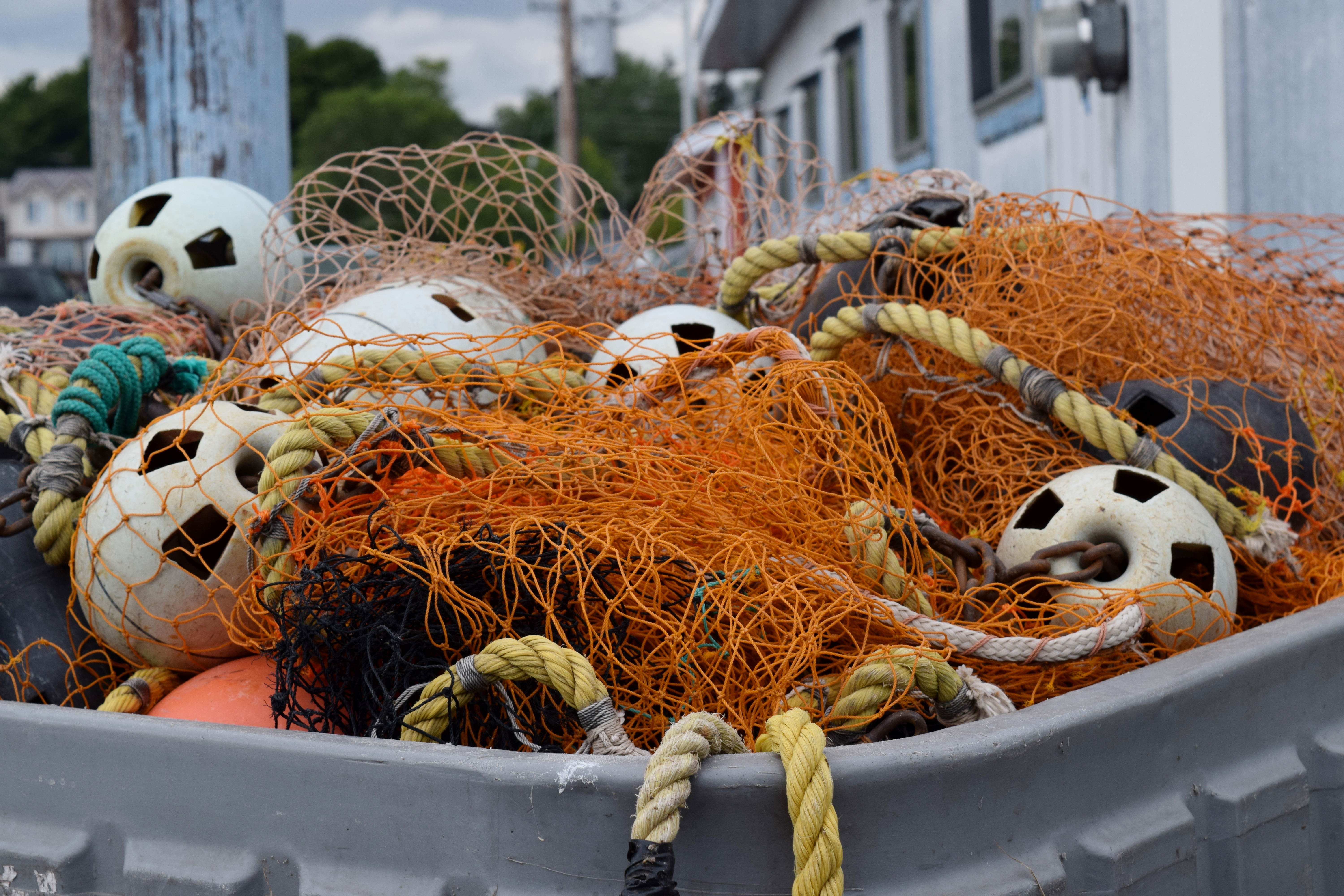 July 2, 2025 - Fishermen still waiting for new markets to sell their whitefish waste