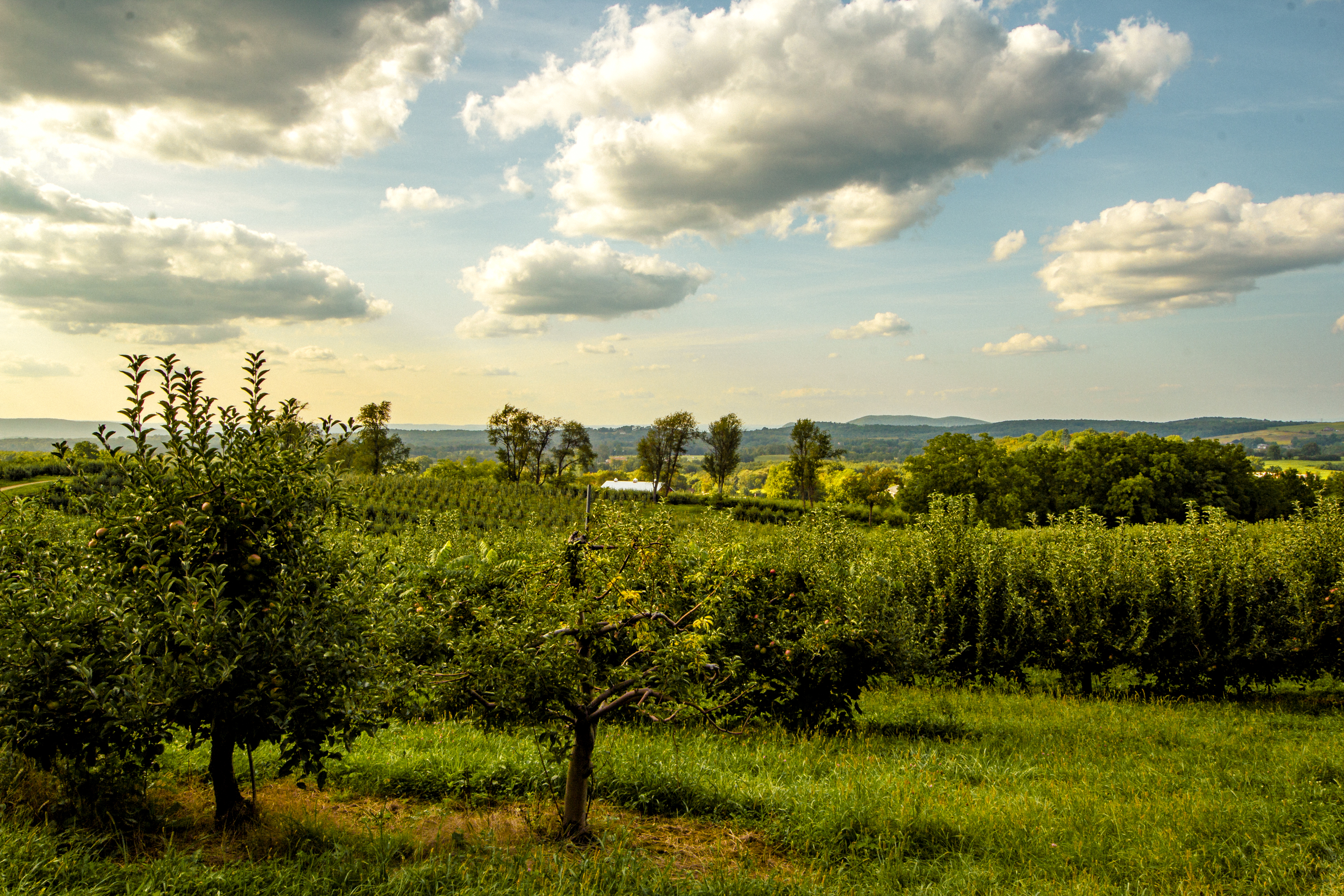Press Release: Great Lakes St. Lawrence Governors and Premiers Launch Regional Sustainable Agriculture Initiative